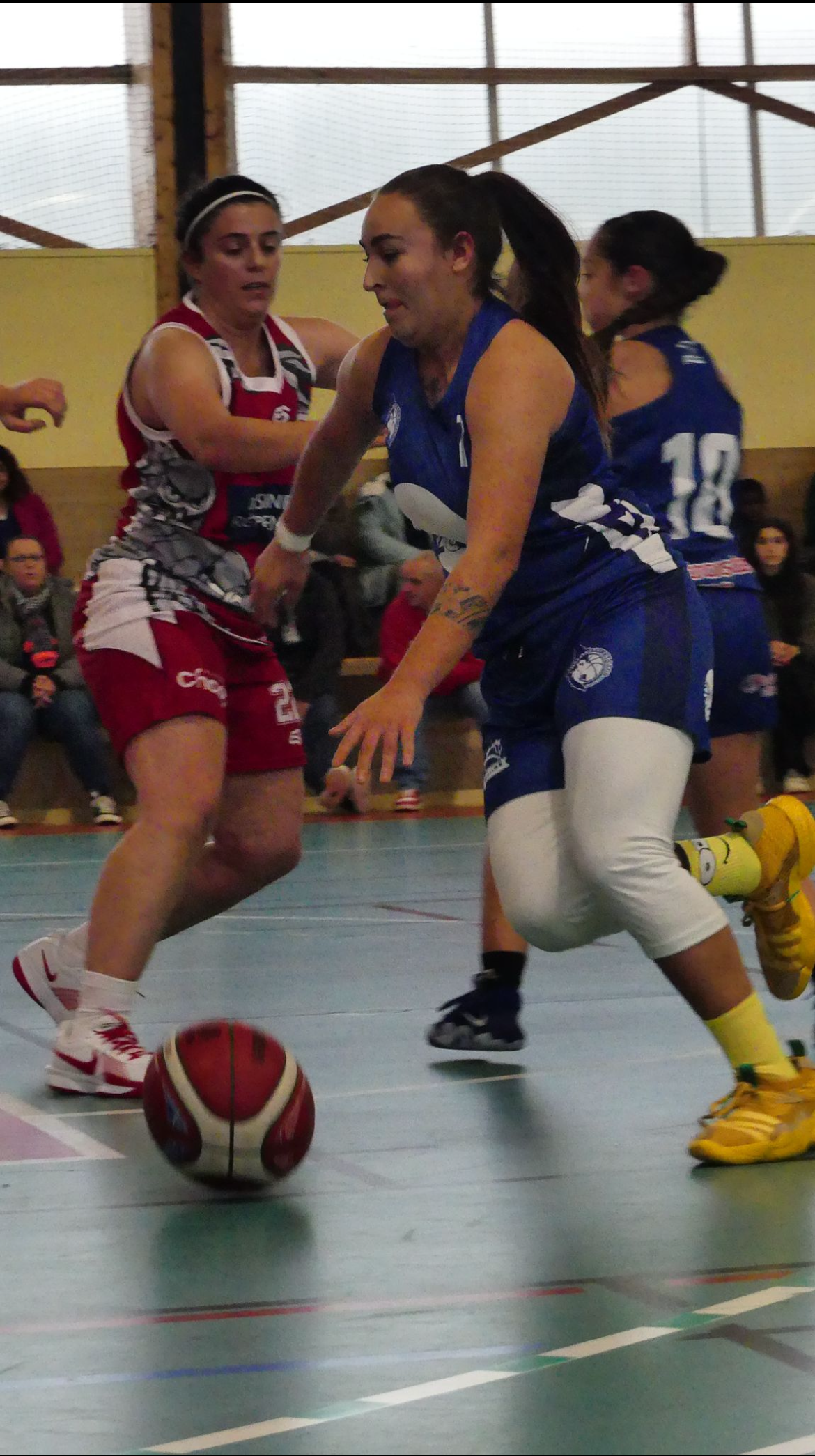 IMG_6351 (1)